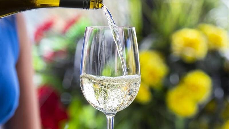 Thursday Wine Specials